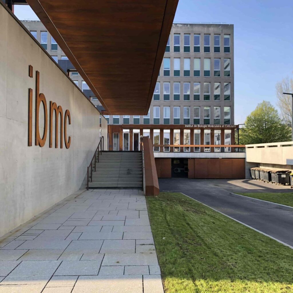 University of Strasbourg cladding