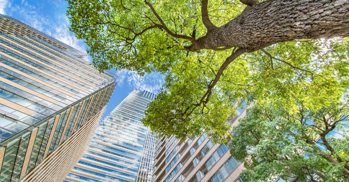 Green buildings