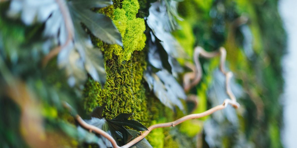 Sustainable architecture Sustainable architecture